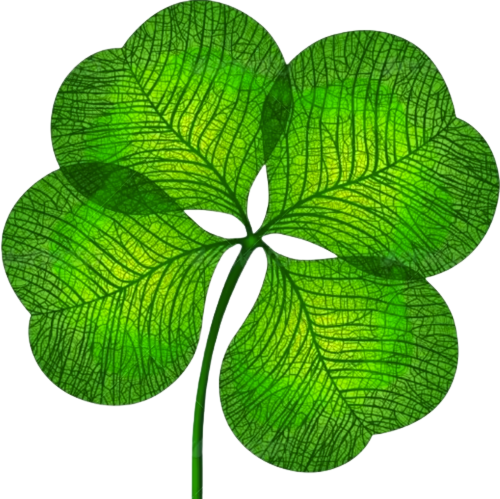 Four Leaf Clover